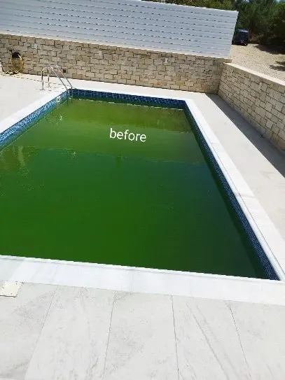 Before: rectangular pool with green water next to a stone wall