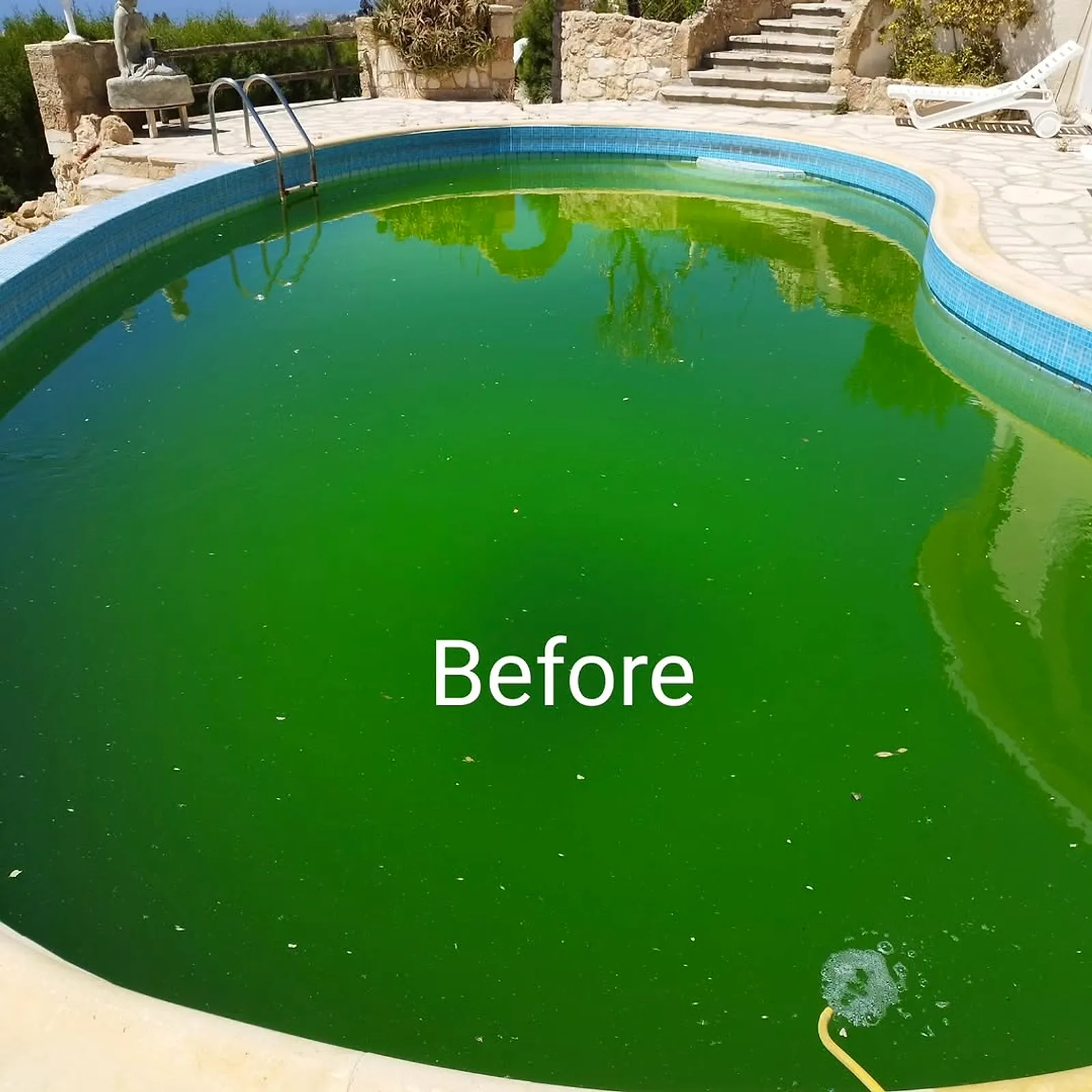 Before: the same pool full of green water
